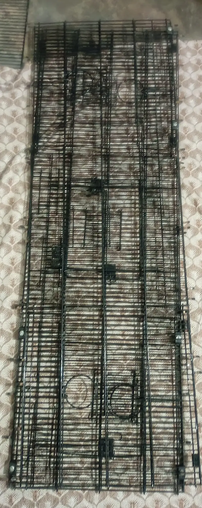 Master cage for sale-Like New,only 13 days used with accessories — photo 2