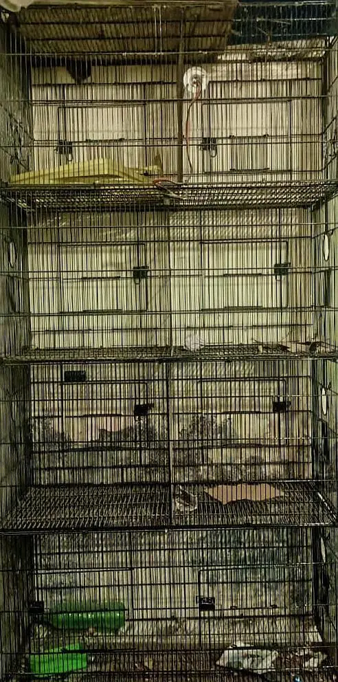 Master cage for sale-Like New,only 13 days used with accessories — photo 3