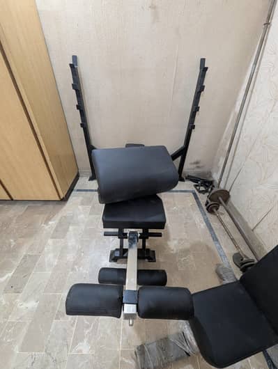 GYM bench leg extension preacher