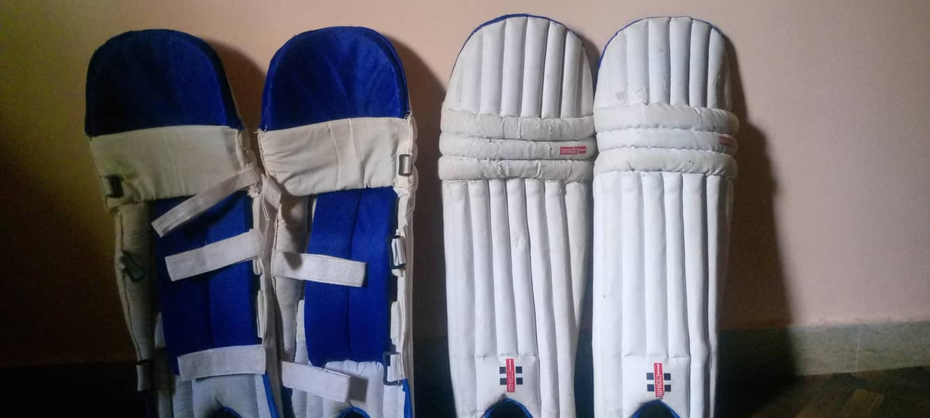 Cricket Kit 10