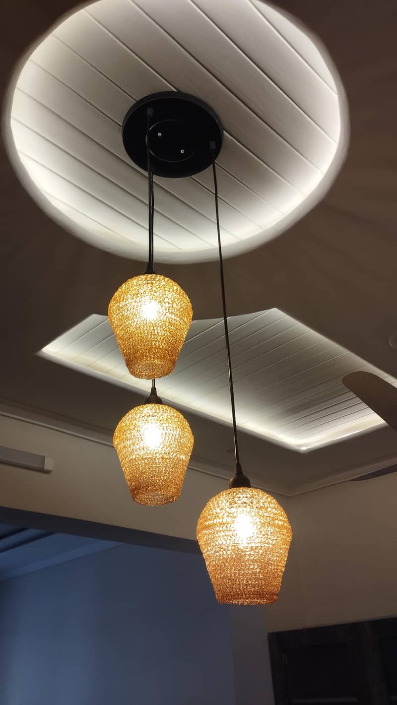 Decoration Ceiling Lights 1