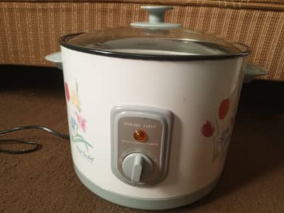 electric deep fryer new
