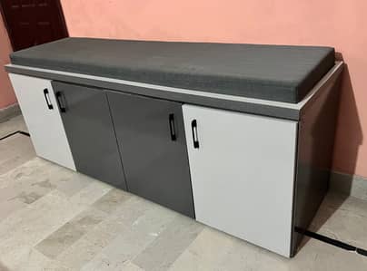 Modern Storage Bench / Sethi for Lounge & Bedroom