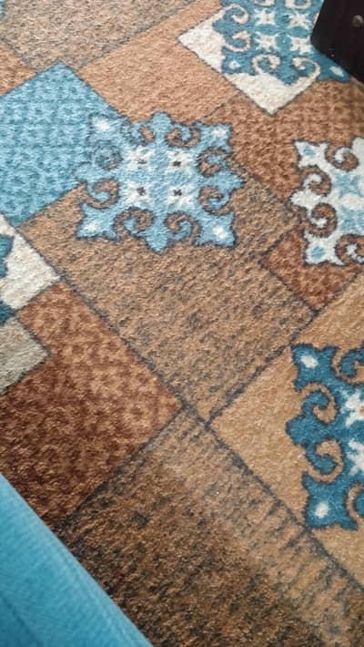 carpet good condition