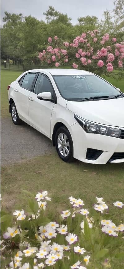 TOYOTA COROLLA XLI CONVERTED GLI