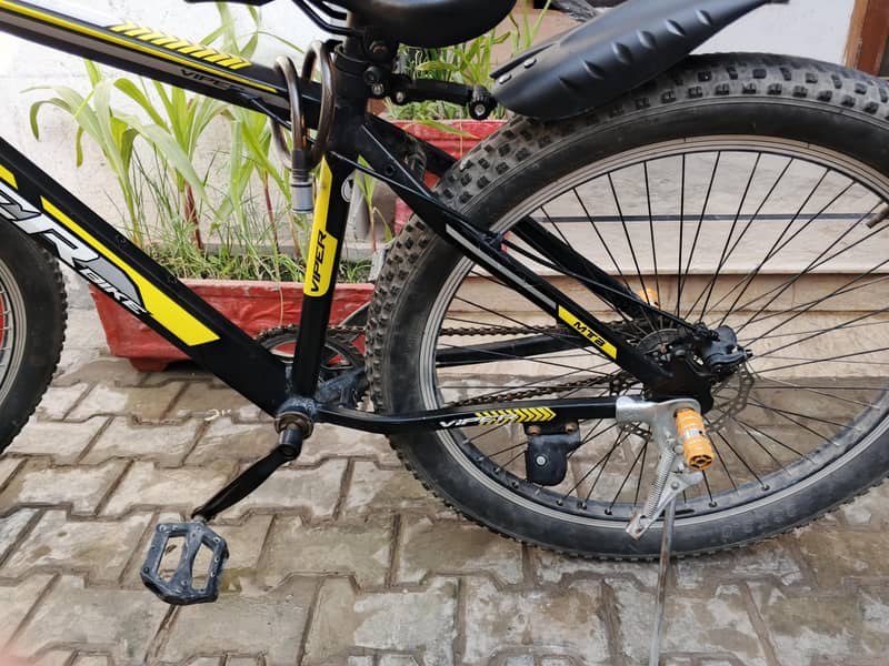 Viper Imported Cycle 2