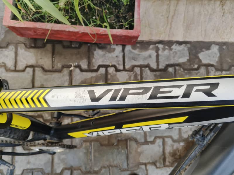 Viper Imported Cycle 4