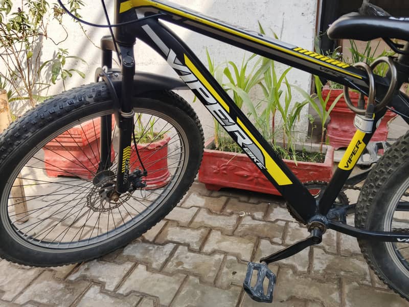 Viper Imported Cycle 5