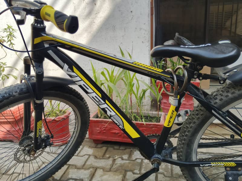 Viper Imported Cycle 6