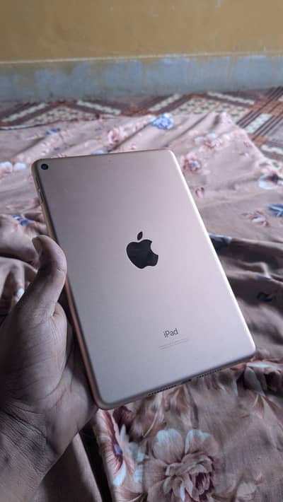 I PAD MINI 5 256 GB 10. /10.  gold color