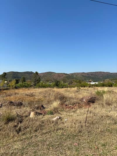 South Face | Level Plot | Closed End Street