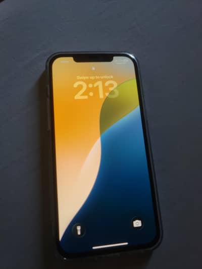 iphone 12 pro max PTA approved