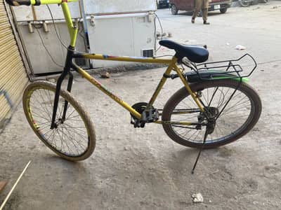 Phoneix pakistani frame