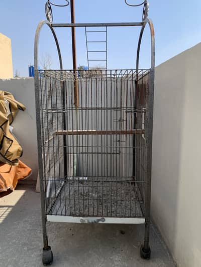 Parrots cage