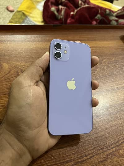" Iphone 12 " 256GB PTA Approved 10/10 Lush Condition Urgent Sale.
