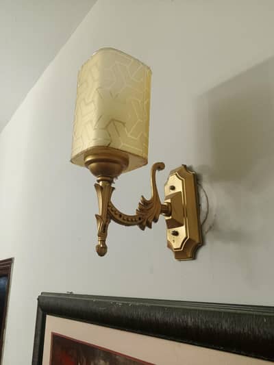 fancy lights with fanoos