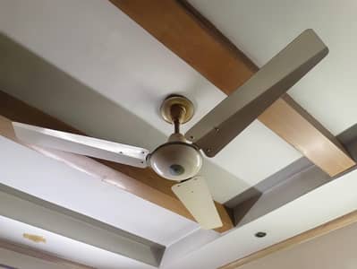 Ceiling Fan Large 56 inch