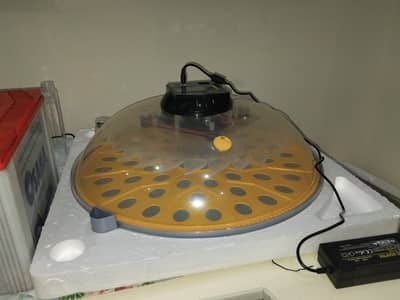 Intelligent incubator in 10/10 condition