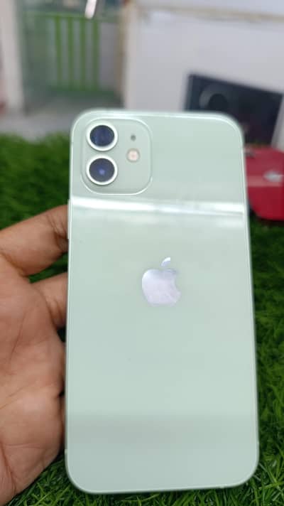 iphone 12 mint Condition