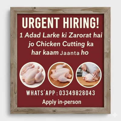 Larke Ki Zarorat hai jise Chicken cutting ka Har Kaam aata hu