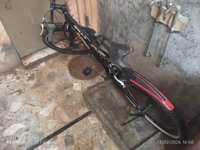 phoenix geared bicycle