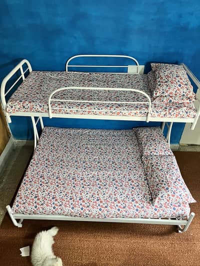 Twin-over-full bunk bed ~ With mattress ~ For 3 people/children
