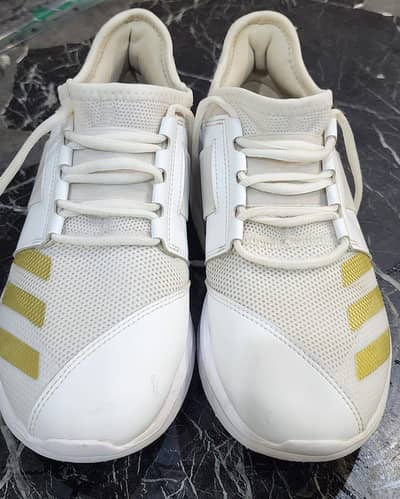 ADIPRENE ADIDAS CRICKET SPIKES