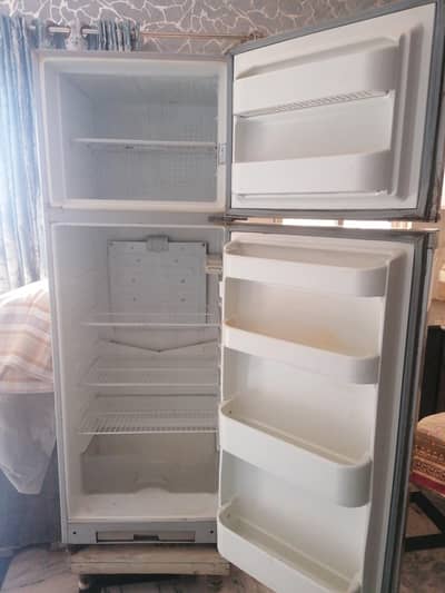 fridge & freezer