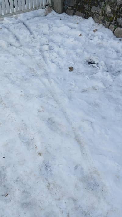 Old female ka leya female caretaker kee need ha