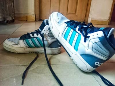 Adidas neo entrap