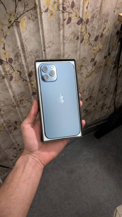 12 Pro Max 10/10 | W/BOX-RECIEPT 256GB