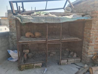 MADE UP OF STRONG LAYER OF IRON CAGE