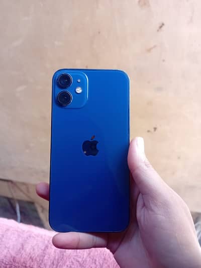I phone 12 mini