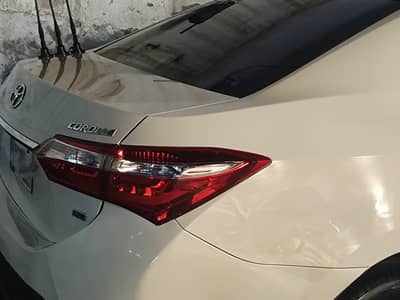 GLI to convert grandi