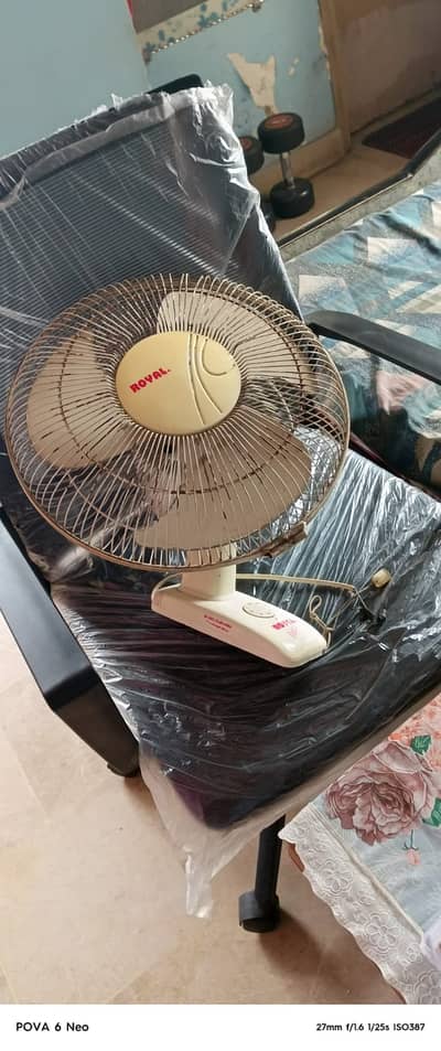 royal fan