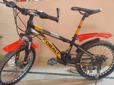 10 gear cobalt cycle