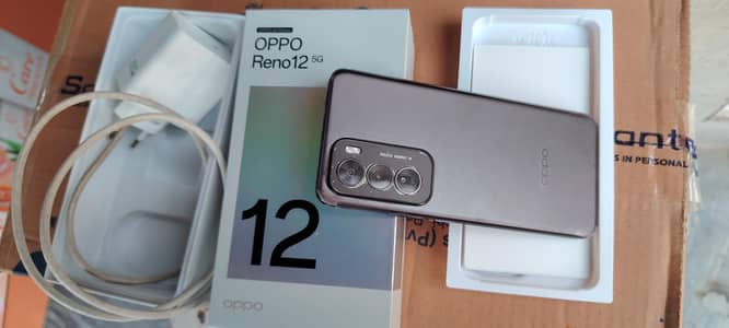 Oppo reno12 ram12gb 512GB 0308-1503828