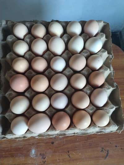 Golden Misri Eggs @450 per dozen