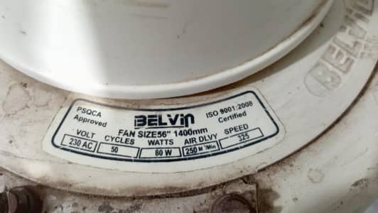 Belvin celling fan