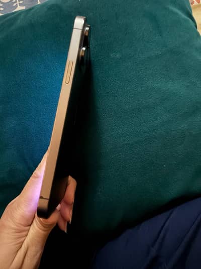 iPhone 13 Pro Max 256 PTA Approved