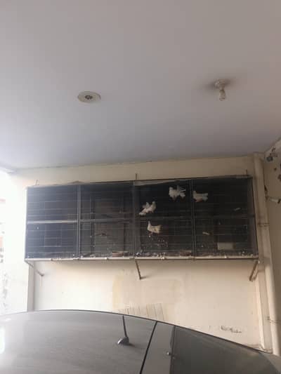 large wall hanging cage/ birds and pigeons cage/ Iron cage/ 8 portion