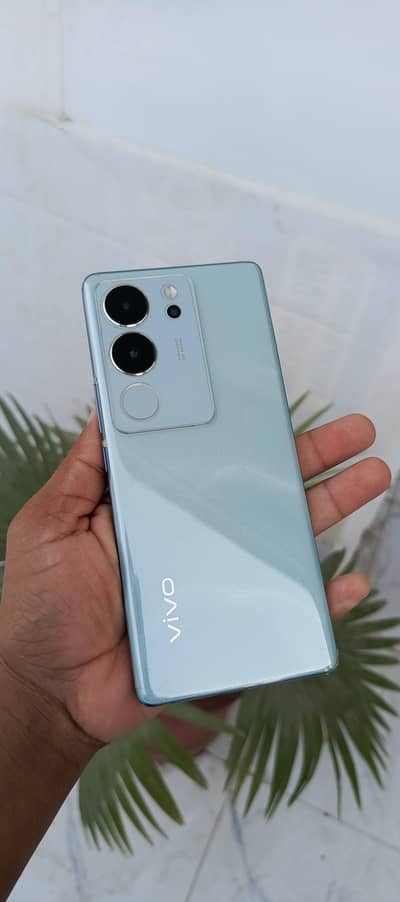 Vivo V29 | 12 256 GB , Peal Blue Color