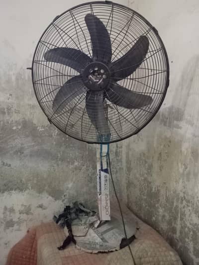 pesetal fan
