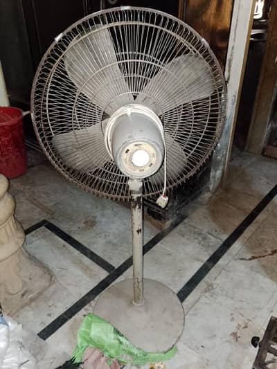 pedistal fan