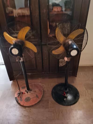 dc padestal 12v fan