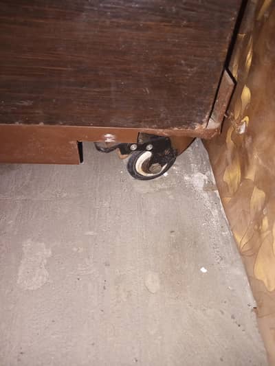 saif allmari available ha