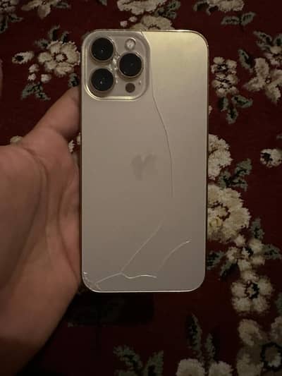 13 pro max 256 Gb non pta