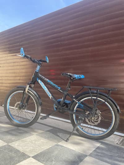 used kids bikes (2 bikes)