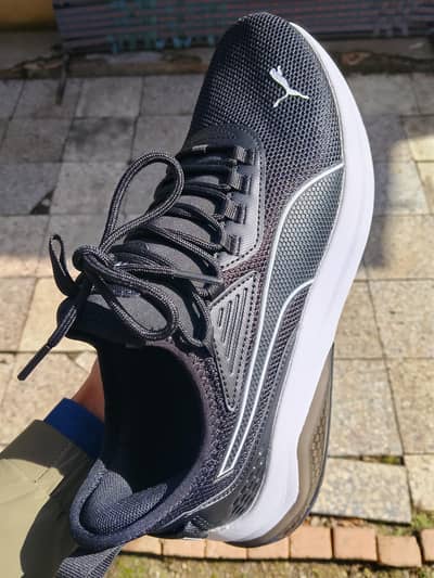 puma branded shoes original