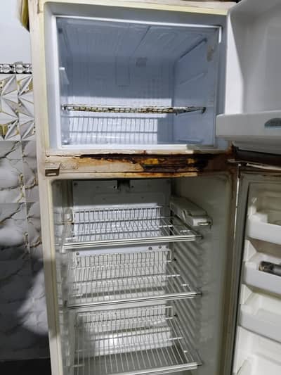 Used Fridge best condition